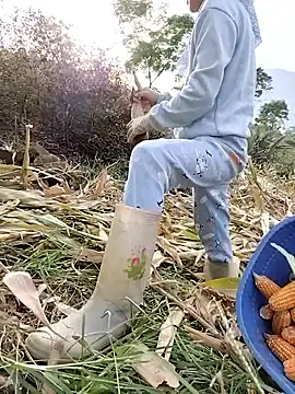 Tin tanny online show from November 2025 08:35:01 AM