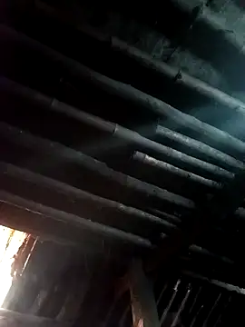 Snapshot of kihi-yo chatting on November 2025 01:48:02 AM kihi-yo online show from November 2025 01:48:02 AM