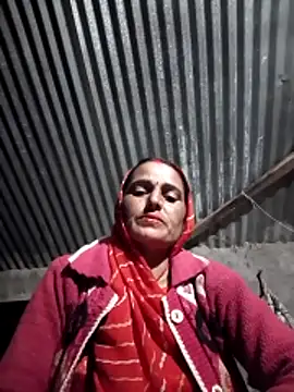 Jalebi bay online show from November 2025 12:38:02 PM