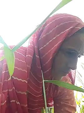 Jalebi bay online show from February 2026 09:14:02 AM