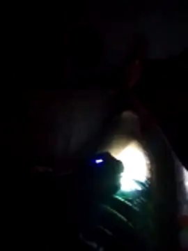 D22Ad online show from December 2025 03:57:01 AM