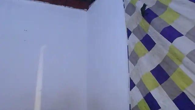DaraKat18 online show from June 2026 02:53:01 AM