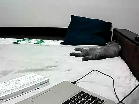 black lany online show from September 2025 02:41:01 PM