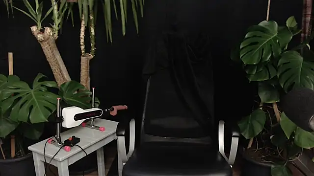 lola skyxh online show from November 2025 08:14:01 PM