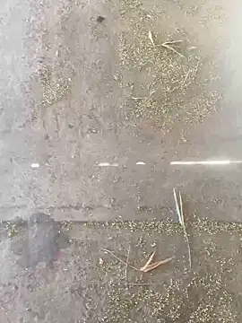 Snapshot of Chico031289 chatting on October 2025 07:16:01 PM Chico031289 online show from October 2025 07:16:01 PM