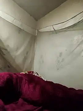 siki-00 online show from January 2026 02:52:02 PM