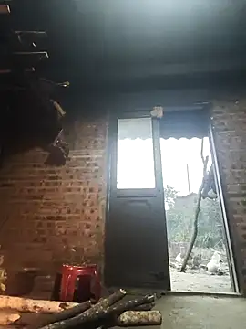 siki-00 online show from January 2026 11:43:02 PM