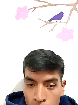 Snapshot of DavidVergagigante420 chatting on November 2025 07:36:02 PM DavidVergagigante420 online show from November 2025 07:36:02 PM