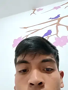 Snapshot of DavidVergagigante420 chatting on November 2025 04:08:02 PM DavidVergagigante420 online show from November 2025 04:08:02 PM