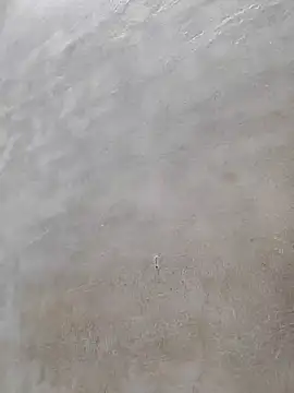 ritwesh online show from October 2025 07:57:02 PM