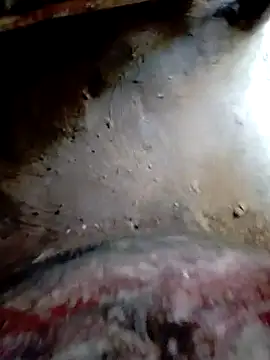 bigdaddyboy46 online show from October 2025 09:43:01 AM