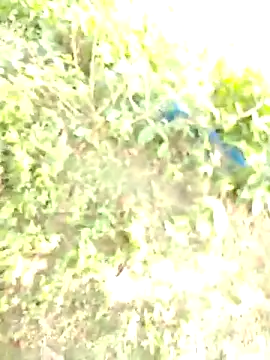 bigdaddyboy46 online show from November 2025 06:13:02 AM