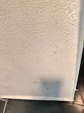 penchis90 online show from December 2025 02:22:02 PM