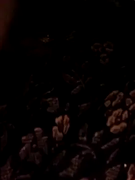 Bebby Doll online show from February 2026 07:46:01 AM