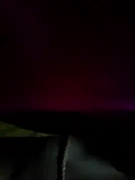 DanteWinter online show from January 2026 02:25:02 AM