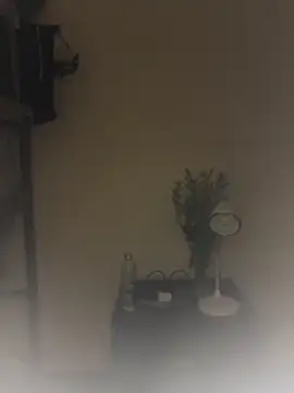 Snapshot of SLNatasha chatting on March 2026 03:29:01 PM SLNatasha online show from March 2026 03:29:01 PM