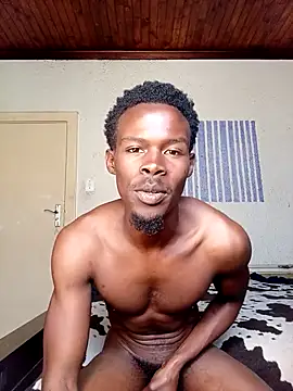 donchico0 online show from October 2025 07:53:02 AM