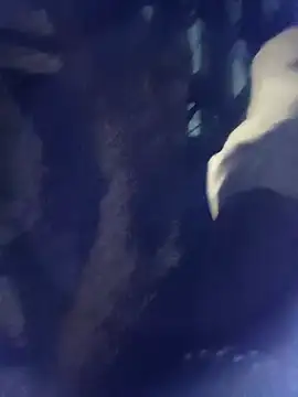 Snapshot of 8133vaibhavh chatting on October 2025 02:03:02 PM 8133vaibhavh online show from October 2025 02:03:02 PM