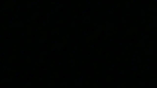 Snapshot of Pyrelissa chatting on December 2025 06:34:02 AM Pyrelissa online show from December 2025 06:34:02 AM