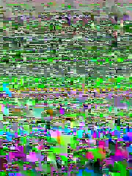 luzmelzinha online show from May 2026 05:34:02 AM