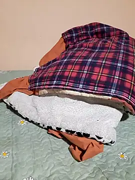 Ansiasex online show from November 2025 02:17:02 AM