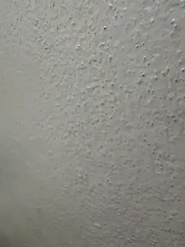 Snapshot of Wild-Nayra chatting on October 2025 01:36:02 AM Wild-Nayra online show from October 2025 01:36:02 AM