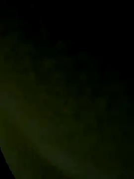 Snapshot of Wild-Nayra chatting on October 2025 07:53:02 AM Wild-Nayra online show from October 2025 07:53:02 AM