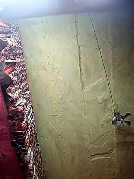 Suman ji1 online show from November 2025 09:06:02 PM