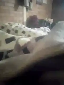 Freelly online show from November 2025 11:38:01 PM