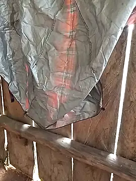 bonnie-00 online show from November 2025 03:16:02 AM