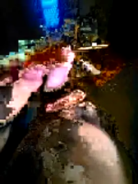 kash49292 online show from May 2026 01:14:02 AM