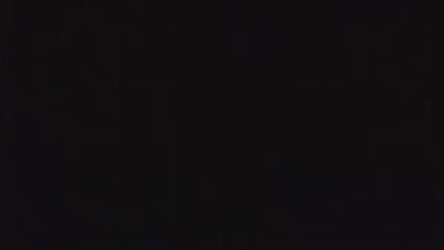 SienaWild online show from December 2025 05:32:01 PM