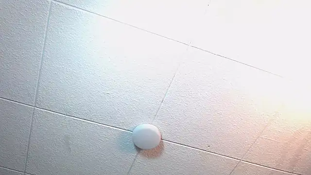 RichardMilleer online show from November 2025 02:17:01 PM