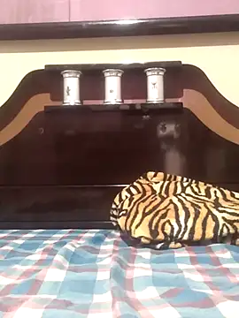 Cachorrinha2025 online show from November 2025 08:30:02 PM