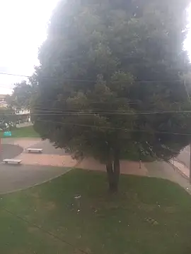 Girl luna  online show from October 2025 05:43:02 PM