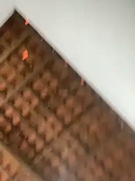 Snapshot of Milenvs chatting on March 2026 12:23:02 PM Milenvs online show from March 2026 12:23:02 PM