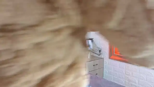 Snapshot of sofiagutierrez__ chatting on October 2025 03:04:02 AM sofiagutierrez online show from October 2025 03:04:02 AM