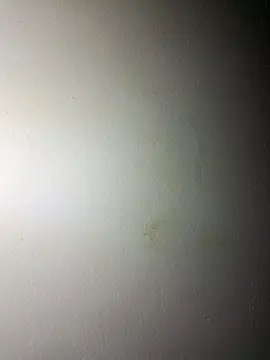 BigD Mikee online show from December 2025 04:46:02 PM