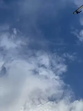 Swet Violet online show from September 2025 01:26:02 PM