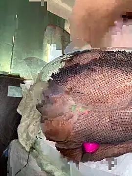 foreigntitts  online show from March 2026 09:41:01 PM