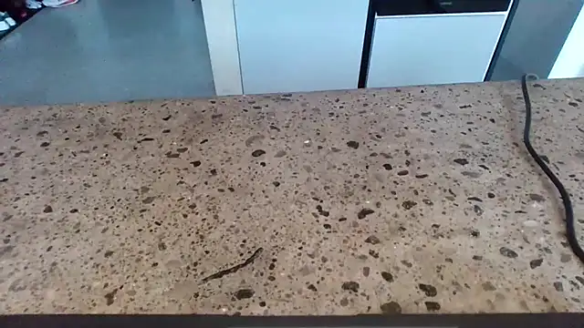 Snapshot of cruelworldxxx chatting on February 2026 11:01:01 PM cruelworldxxx online show from February 2026 11:01:01 PM