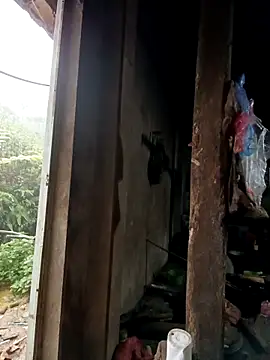 Snapshot of tulipsexy chatting on October 2025 12:44:02 AM tulipsexy online show from October 2025 12:44:02 AM