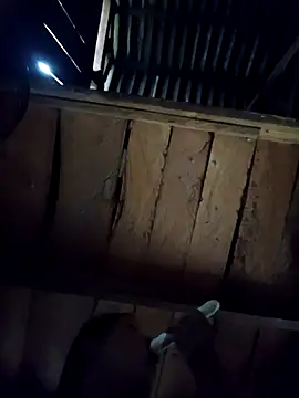 callistra online show from October 2025 08:23:02 AM