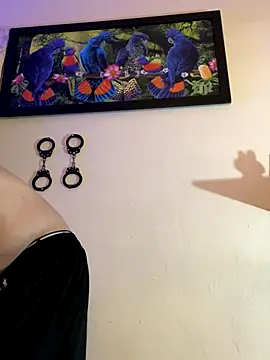 Matt your master  online show from October 2025 11:41:02 PM