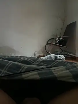 sambergSILVa online show from November 2025 12:38:01 PM