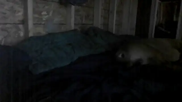 Snapshot of stuandangie28129r chatting on July 2026 05:00:02 AM stuandangie28129r online show from July 2026 05:00:02 AM