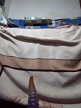 Snapshot of calntt28 chatting on February 2026 02:12:02 PM calntt28 online show from February 2026 02:12:02 PM