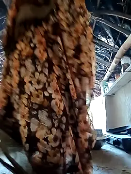 Haliya88 online show from October 2025 04:02:01 AM