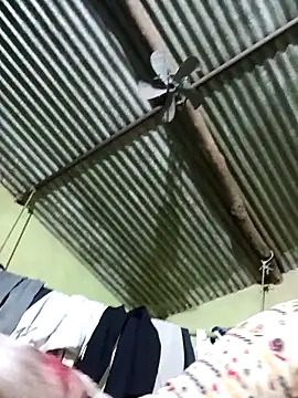 Snapshot of Haliya88 chatting on February 2026 08:52:01 PM Haliya88 online show from February 2026 08:52:01 PM