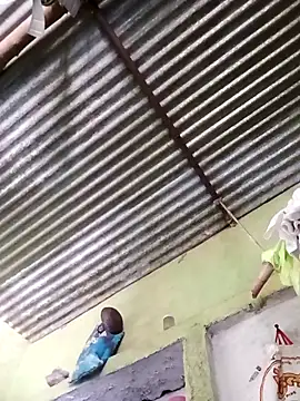 Snapshot of Haliya88 chatting on March 2026 06:51:01 AM Haliya88 online show from March 2026 06:51:01 AM